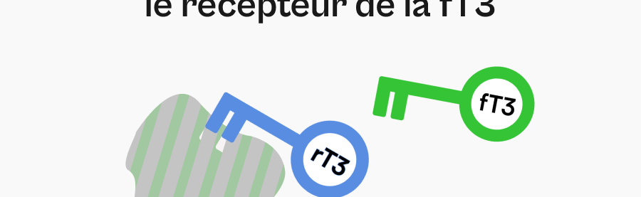 04__La_rT3_bloque_le_recepteur_de_la_fT3.png