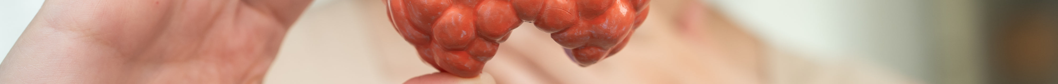 Schilddrüsen-Aktivierung